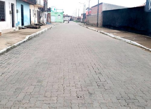 obra-canidezinho